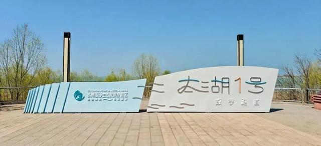 B体育体育报道-五千跑者集结，2026苏州太湖数字半程马拉松开跑